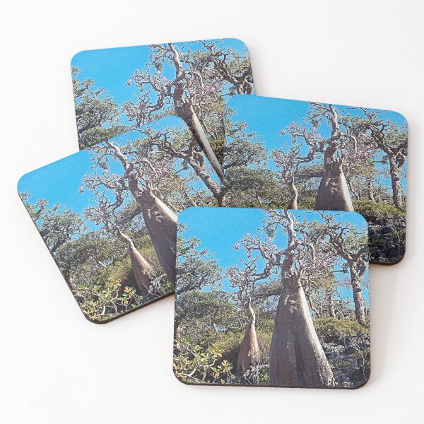 Item preview, Desert Rose Tree Grove, Socotra Island designed and sold by worldways.