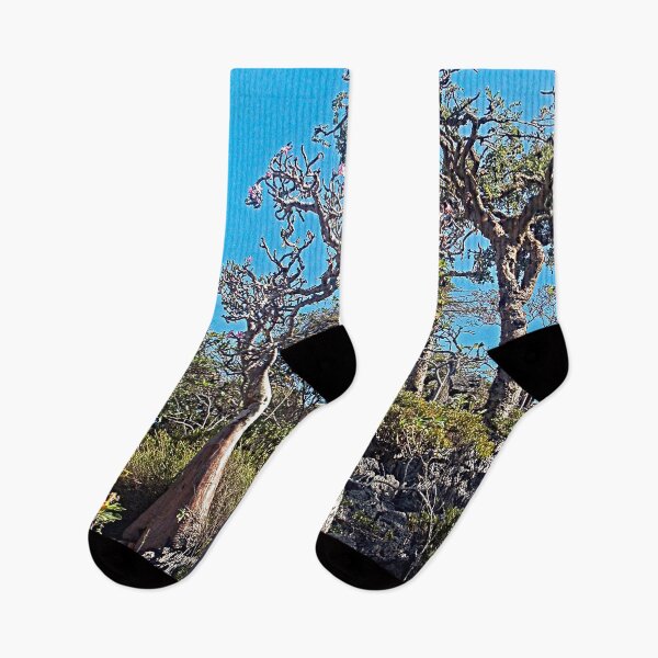 Item preview, Desert Rose Tree Grove, Socotra Island designed and sold by worldways.