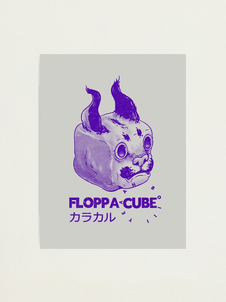 Print pattern for Flop cube : r/bigfloppa