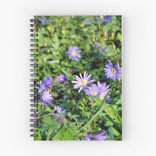 Artikelvorschau, Aster Blumen entworfen und verkauft von MitaDreamDesign.