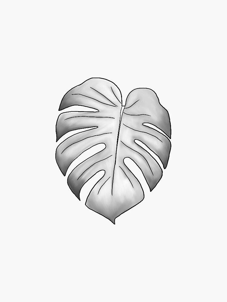 Sketched Monstera Leaves Vinyl