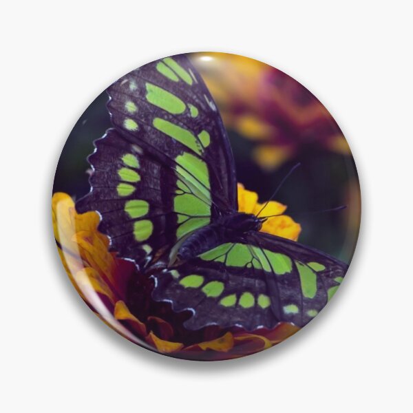 Item preview, Malachite Butterfly designed and sold by passion4photos.