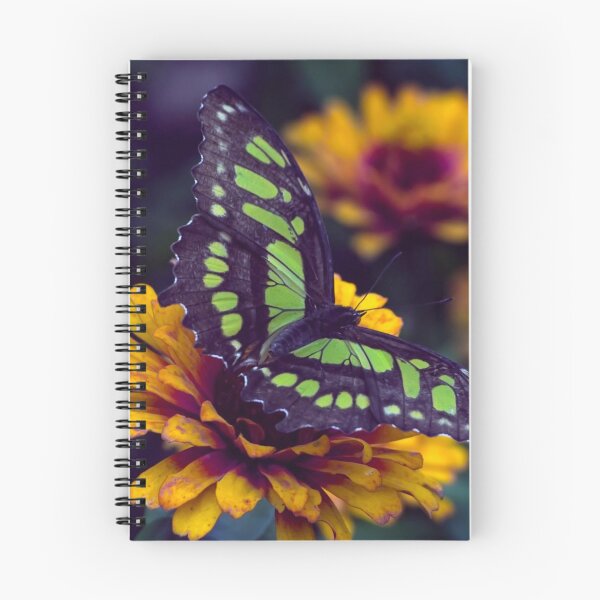 Item preview, Malachite Butterfly designed and sold by passion4photos.