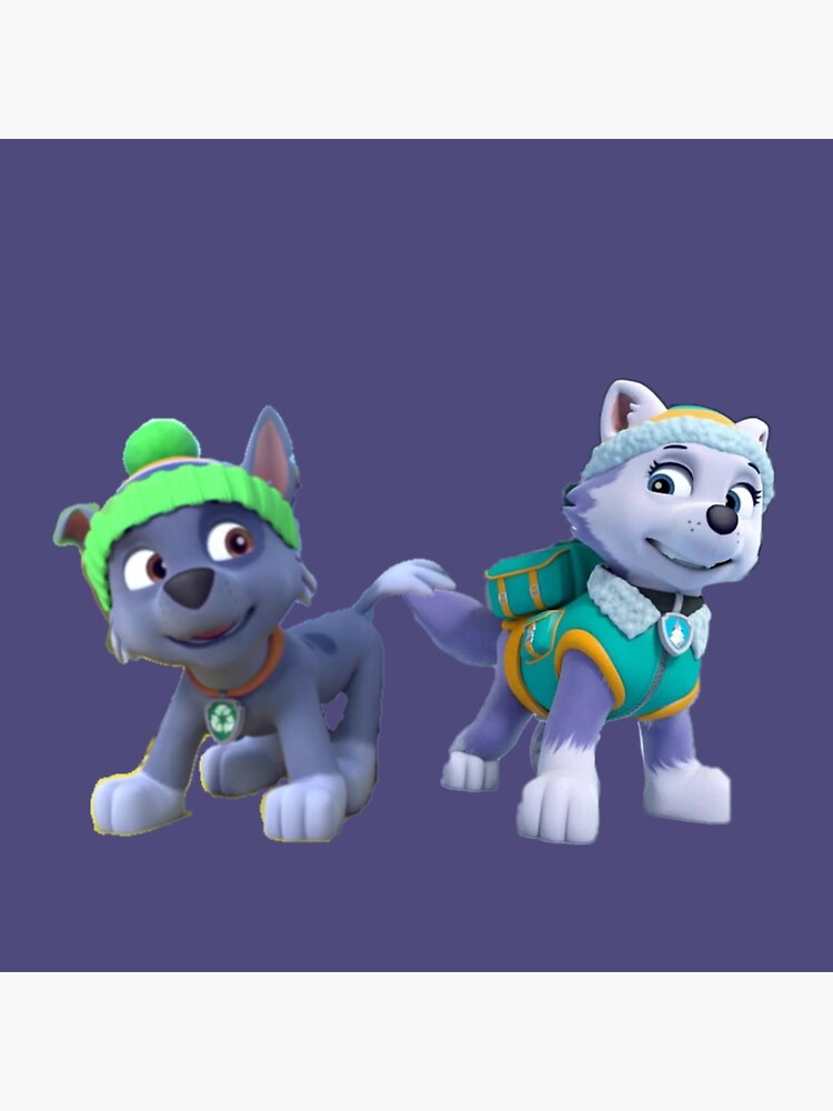 Paw patrol store rocky and everest