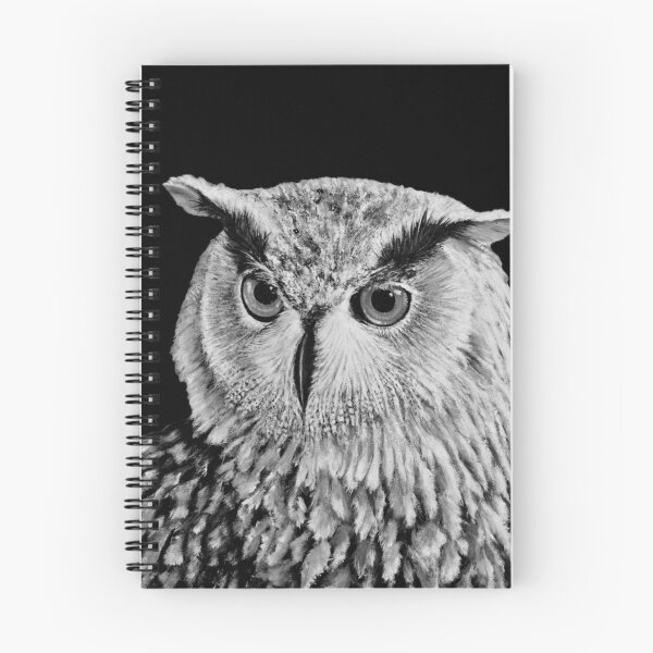 Item preview, EURASIAN EAGLE OWL T SHIRT designed and sold by Danicus666.