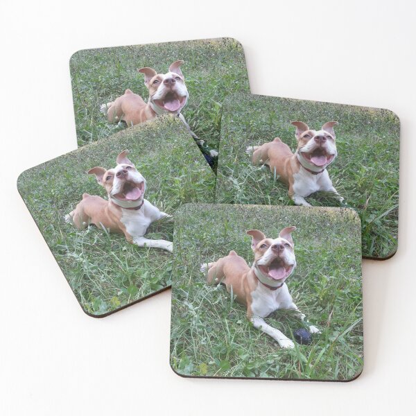 Item preview, Happy Pittie with Ball designed and sold by Theophanes Avery.