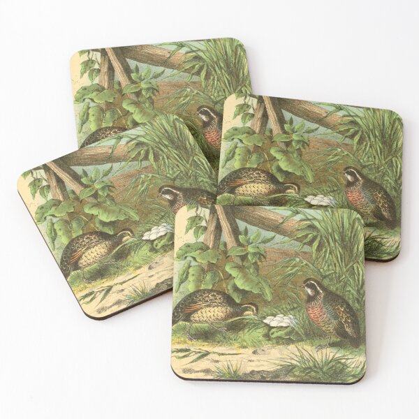 Item preview, Quail Birds with Eggs designed and sold by laguitan10.