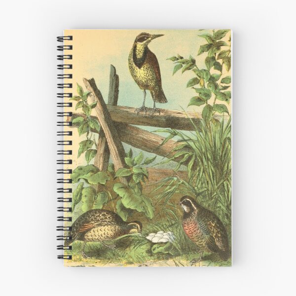 Item preview, Quail Birds with Eggs designed and sold by laguitan10.