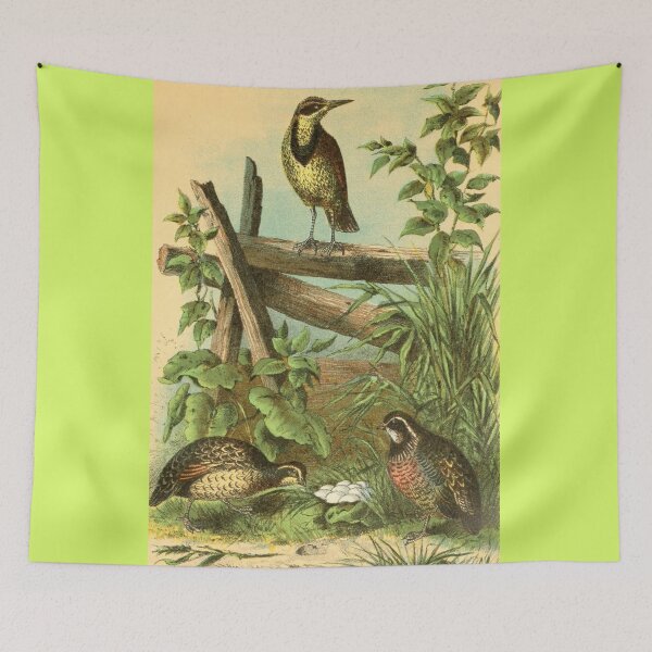 Item preview, Quail Birds with Eggs designed and sold by laguitan10.