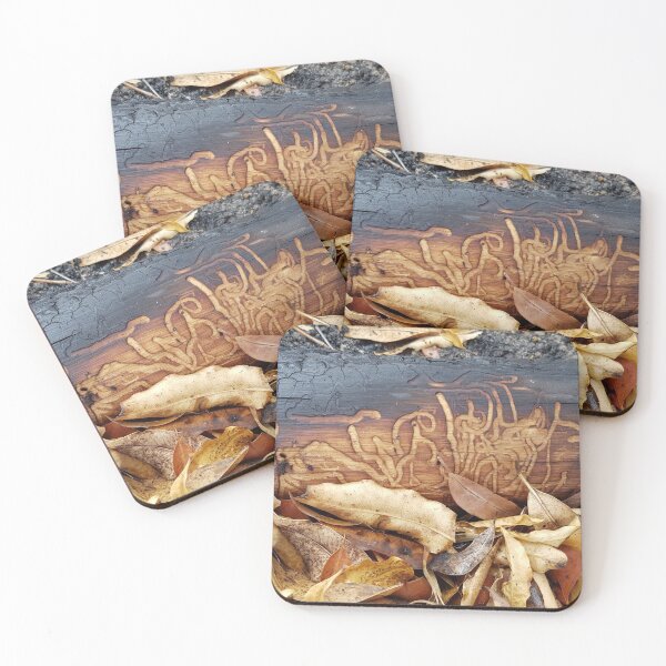 Item preview, 2019-2020 Bushfires, Bega Valley, NSW, Australia designed and sold by Cobargo South Coast.