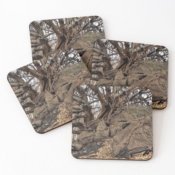 Item preview, 2019-2020 Bushfires, Bega Valley, NSW, Australia designed and sold by Cobargo South Coast.
