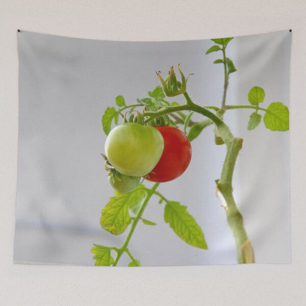 Item preview, tomatoes designed and sold by Babbler01.