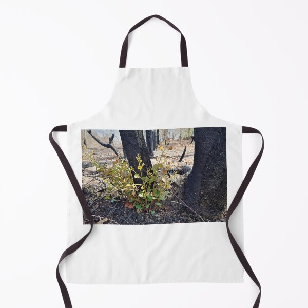 Item preview, Regeneration, 2020 bushfires, Bega Valley, NSW, Australia designed and sold by Cobargo South Coast.
