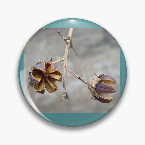 Item preview, Open Seed Pods of Crepe Myrtle designed and sold by Max Kindly.