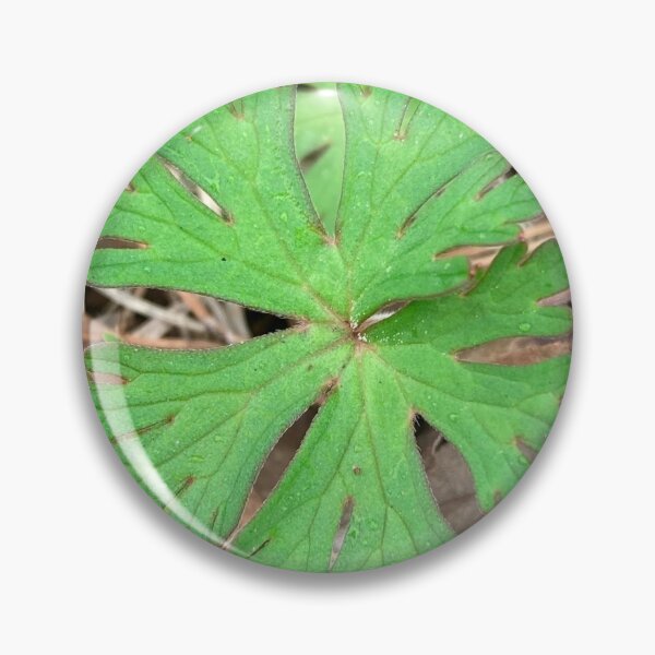 Item preview, Carolina Crane's Bill Geranium Leaf designed and sold by Max Kindly.