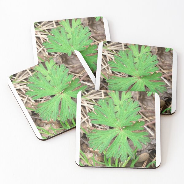 Item preview, Carolina Crane's Bill Geranium Leaf designed and sold by Max Kindly.