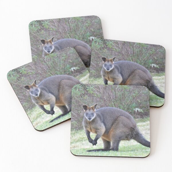 Item preview, Wallaby, Bega Valley, NSW, Australia designed and sold by Cobargo South Coast.
