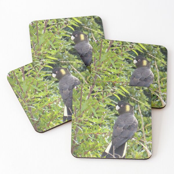 Item preview, Black Cockatoo, Bega Valley, NSW, Australia designed and sold by Cobargo South Coast.
