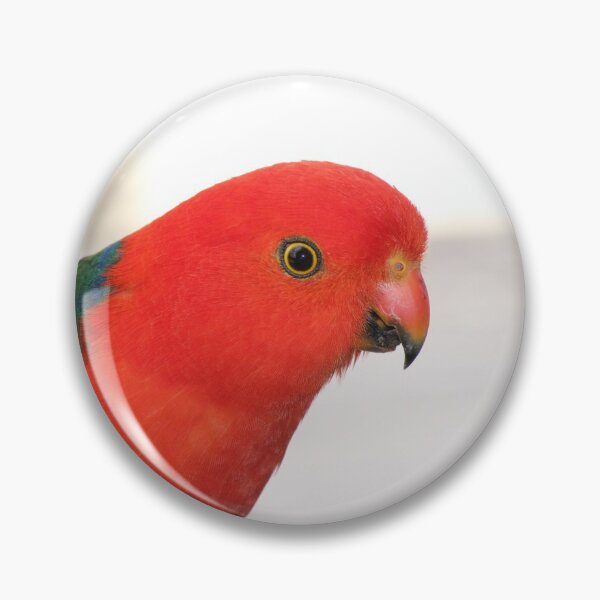 Item preview, King Parrot designed and sold by phillymag.