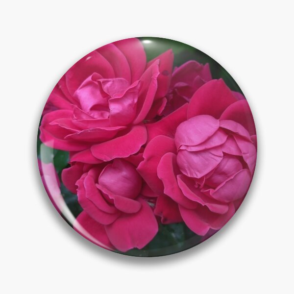 Item preview, Pink Flower Trio Photographic Image designed and sold by AustaArt.