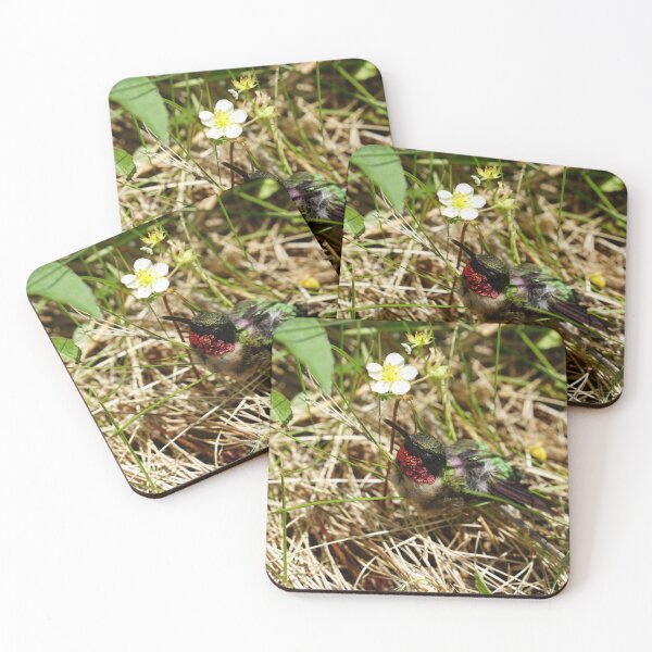 Item preview, dead ruby throated  hummingbird:( designed and sold by distracted.