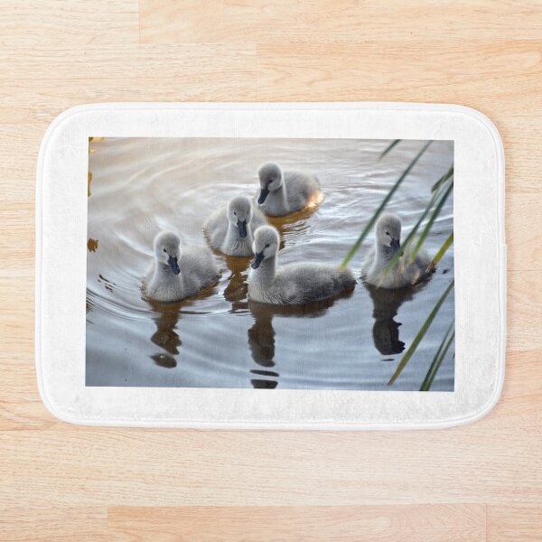 Item preview, Cygnets  designed and sold by TheaShutterbug.