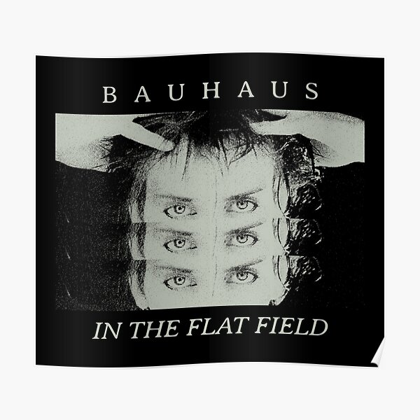 Bauhaus // In the flat field Poster