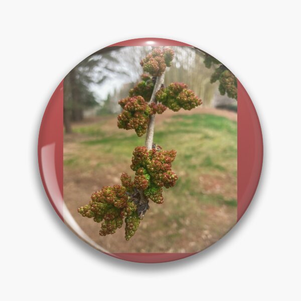 Item preview, Chinese Pistache Floral Bud designed and sold by Max Kindly.