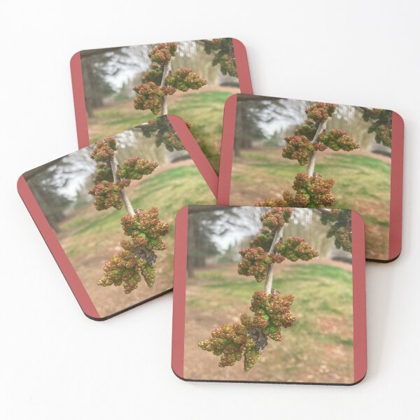 Item preview, Chinese Pistache Floral Bud designed and sold by Max Kindly.