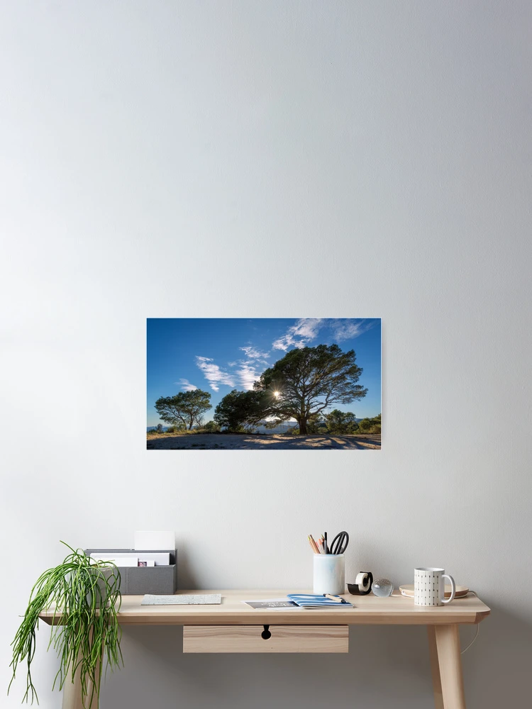 Thumbnail 2 of 3, Poster, Tree with a view designed and sold by Ralph Goldsmith.