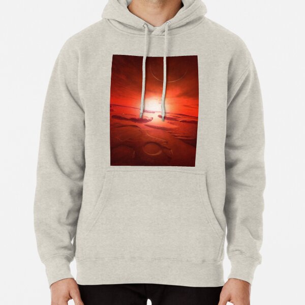 Future Europa Pullover Hoodie