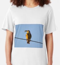 MeadowLark with Lunch Slim Fit T-Shirt