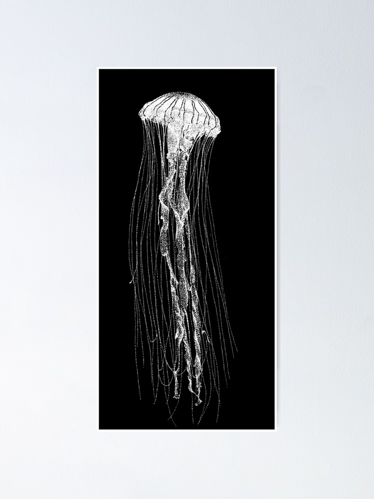 White Jellyfish Poster By Taratarantula Redbubble