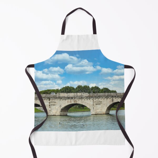 Item preview, Ancient stone Tiberius bridge in Rimini Italy designed and sold by goceris.