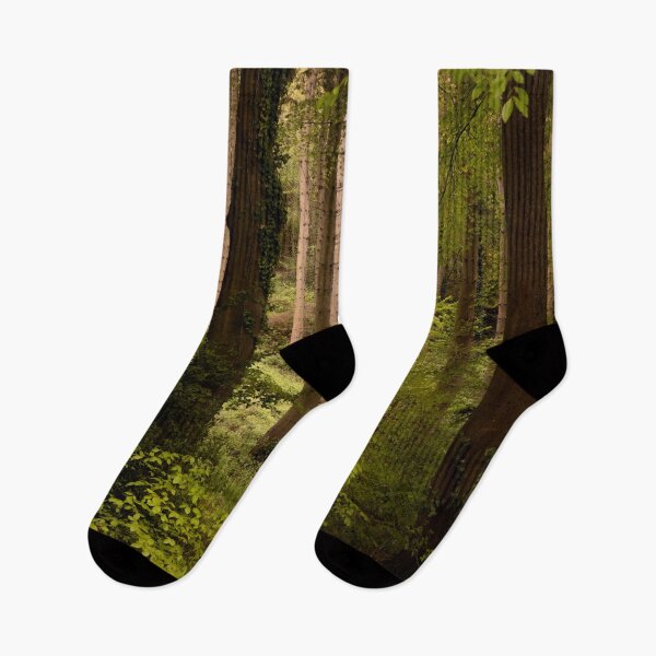 Item preview, Kentish Woodland designed and sold by Dave Hare Photography.