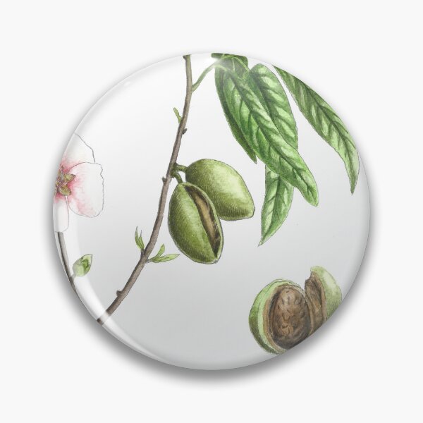 Item preview, Prunus dulcis designed and sold by Cladonia.