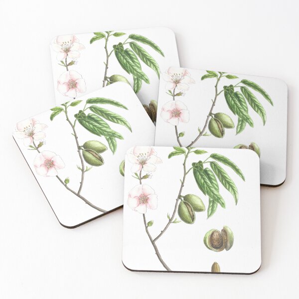 Item preview, Prunus dulcis designed and sold by Cladonia.