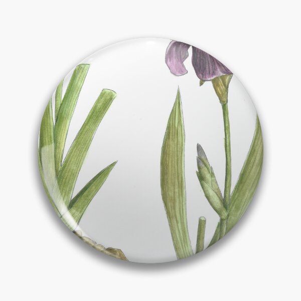 Item preview,  Iris germanica designed and sold by Cladonia.