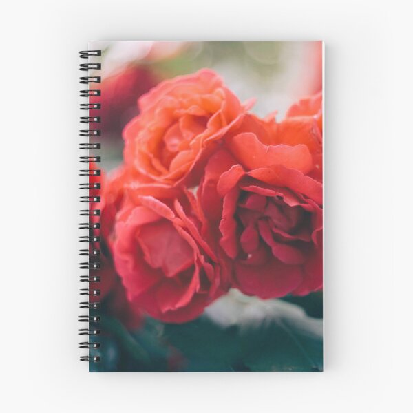Item preview, Red Roses designed and sold by GukjinKim.