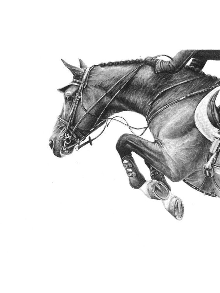 Flick - Showjumping Horse by r-henderson-art