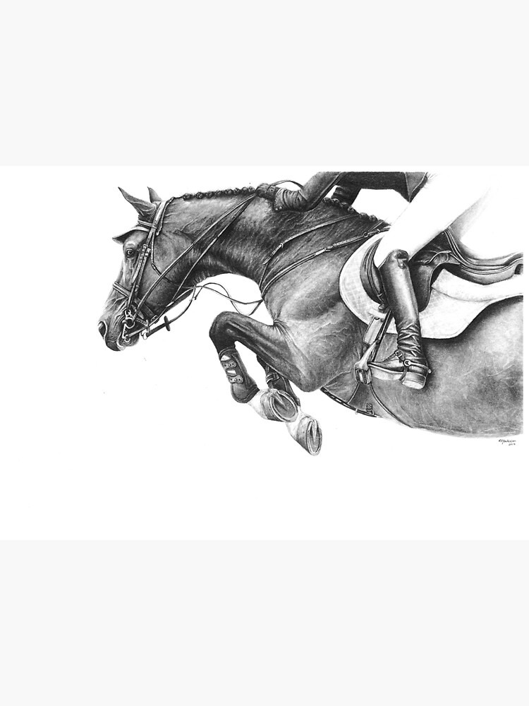 Aperçu 3 sur 3. Sticker avec l'œuvre Flick - Cheval de saut d'obstacles créée et vendue par r-henderson-art.
