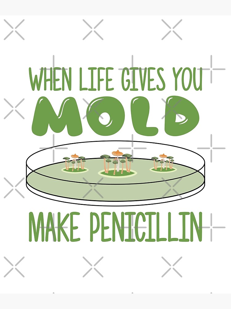 When Life Gives You Mold - Make Penicillin | Postcard