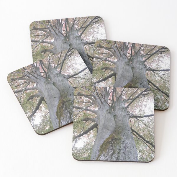 Item preview, Purple Beech ... Remarkable Tree! designed and sold by ChrisJ357.