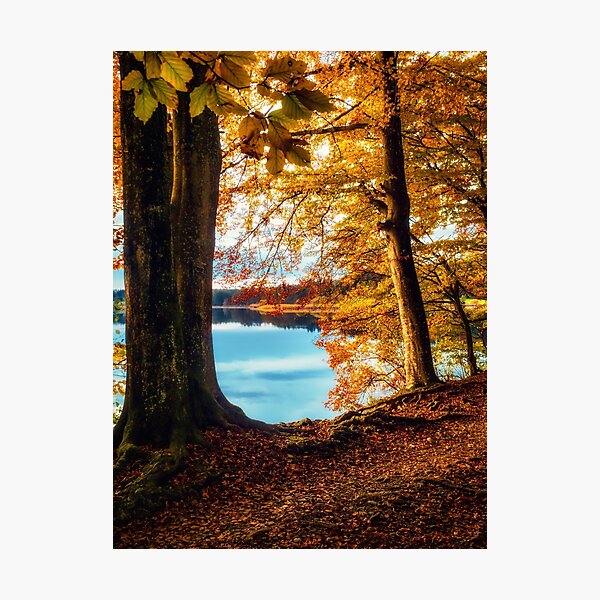 Item preview, A late afternoon walk by the lake designed and sold by Marty-photo.
