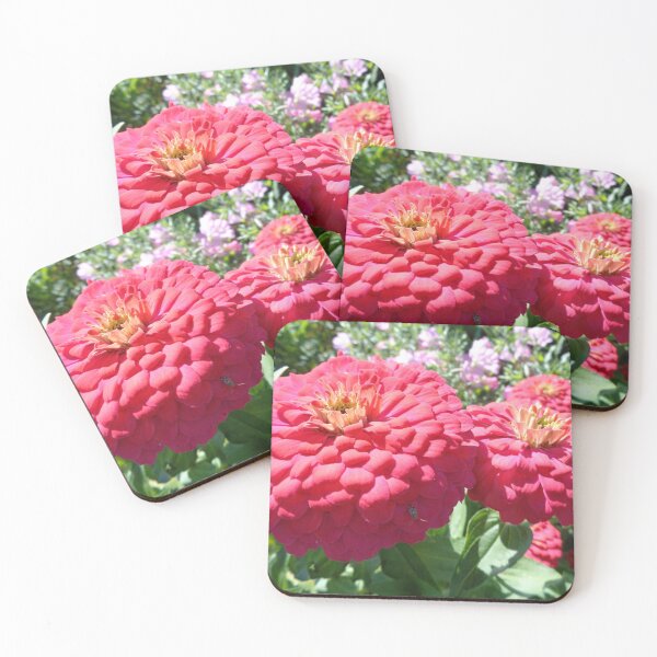 Item preview, Pink zinnias designed and sold by Ana Belaj.