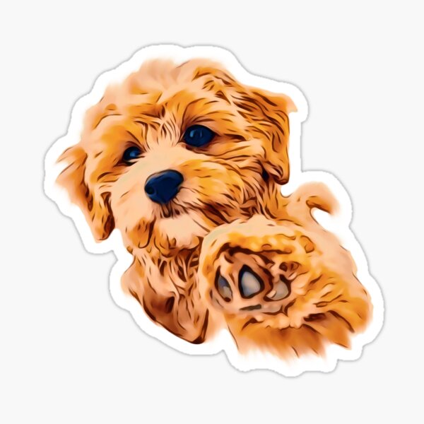 Cockapoo Welpen Geschenke Merchandise Redbubble