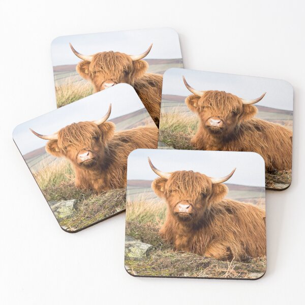 Item preview, Young Highland Cow designed and sold by Jane Stanley Photography.