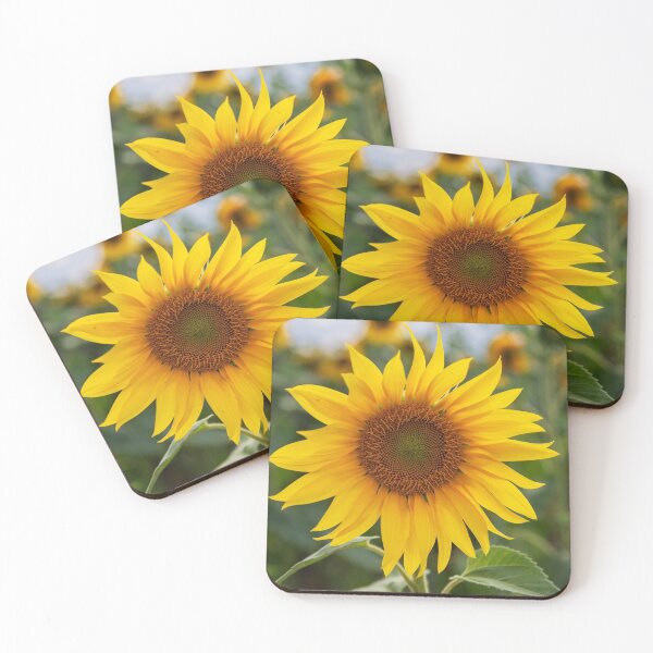Item preview, Sunflower in Close-Up designed and sold by DonMc.