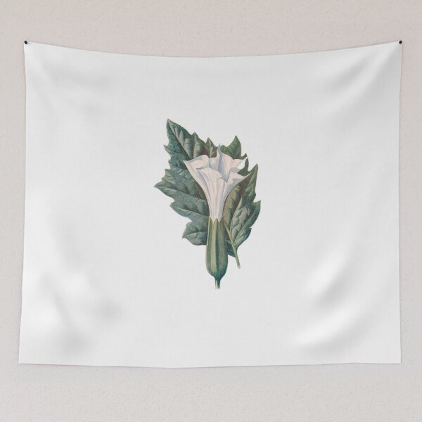 Item preview, Thorn Apple, drooping heart-shaped flowers, Bleeding Heart, Plants Print, Original Flower Print, Botanical Antique, Antique print, Foxglove Wall art, Foxglove Flower, Botanical Prints designed and sold by Studio66Designs.