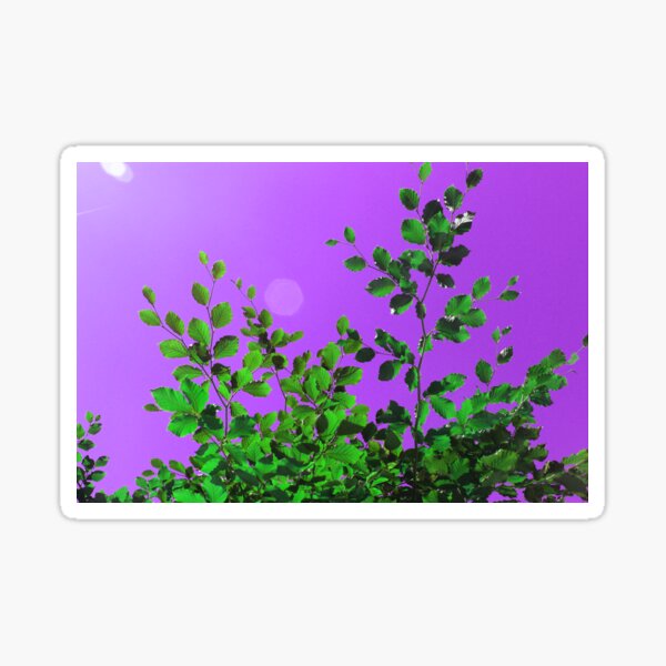 "Colourful Trees" Sticker for Sale by Meganosss Redbubble
